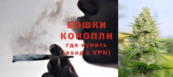 ECSTASY Богородицк