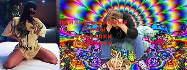 ECSTASY Богородицк