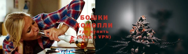 ECSTASY Богородицк