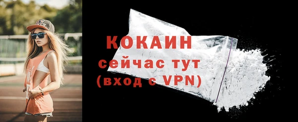 дживик Богданович