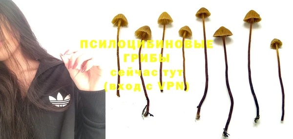 ECSTASY Богородицк