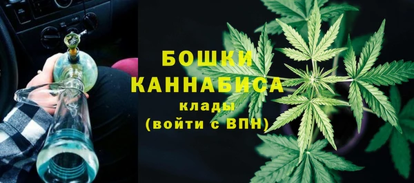 дживик Богданович