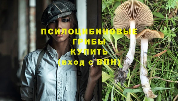 каннабис Богородск
