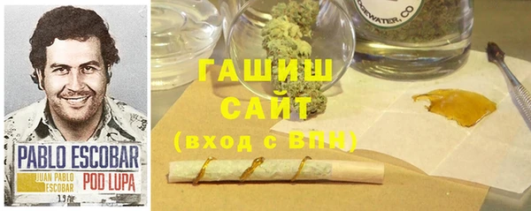 ECSTASY Богородицк