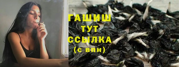 ECSTASY Богородицк